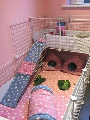 Dimensionando o Espaço: Tamanho Certo para Diversão e Bem-Estar - inspiração 2