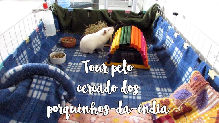 Montagem da Base: Criando o Chão Perfeito - inspiração 1