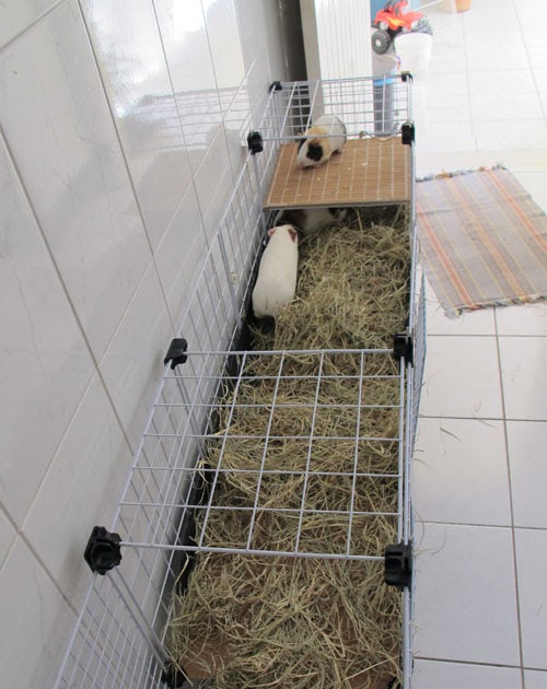 Opções de Cobertura: Proteção Contra o Sol e Outros Elementos - inspiração 1