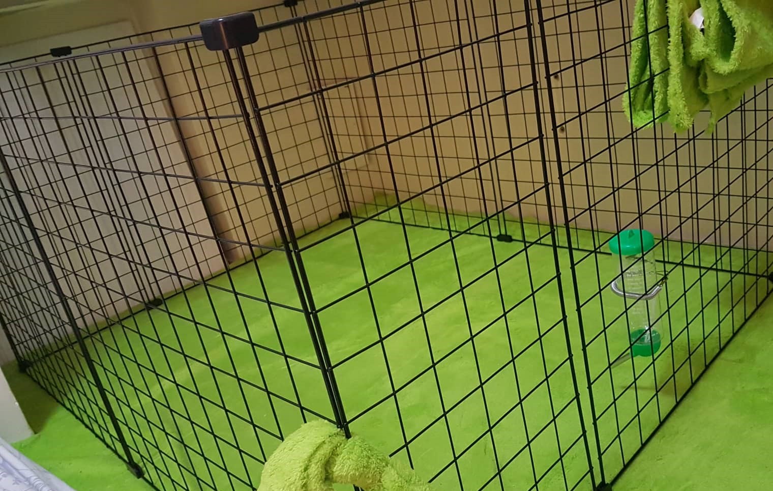 Opções de Cobertura: Proteção Contra o Sol e Outros Elementos - inspiração 2