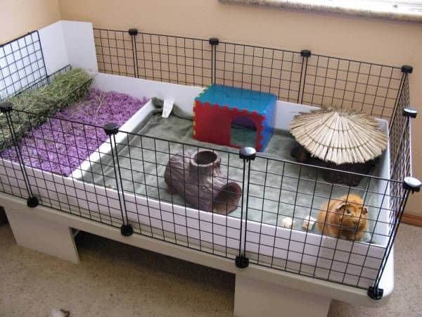 Testando a Segurança: Verificando Cada Detalhe - inspiração 1