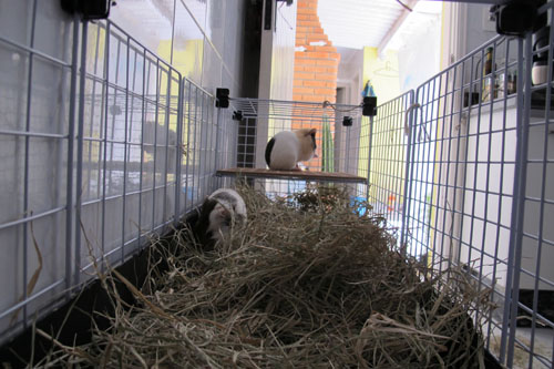 Testando a Segurança: Verificando Cada Detalhe - inspiração 2