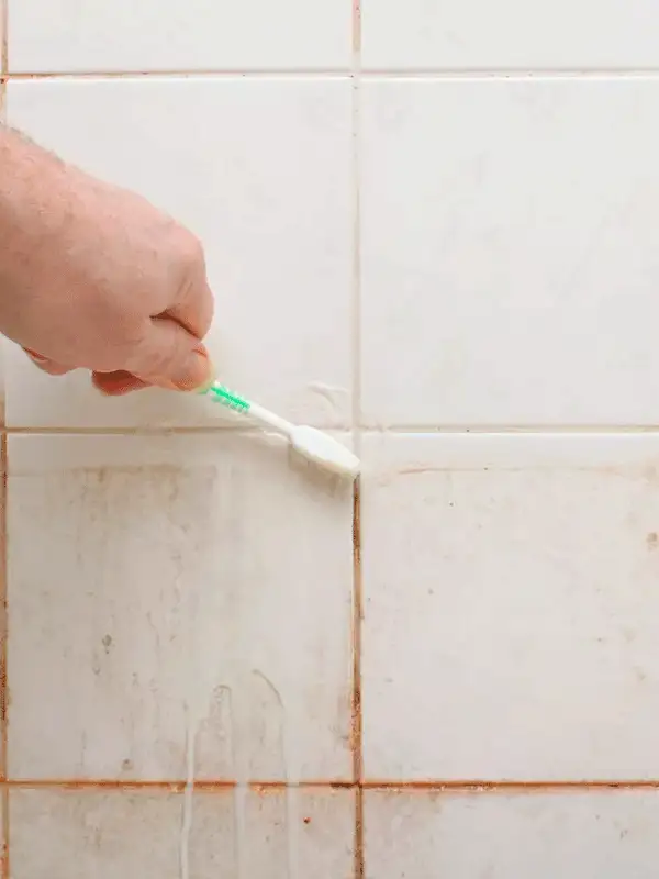 O Uso Inteligente do Limão e Sal: Brilho Natural - inspiração 2