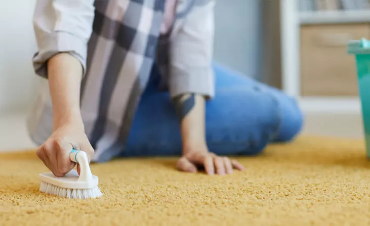 Preparando o Terreno: Antes de Começar - inspiração 1