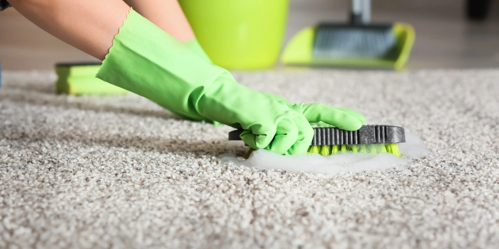 Preparando o Terreno: Antes de Começar - inspiração 2