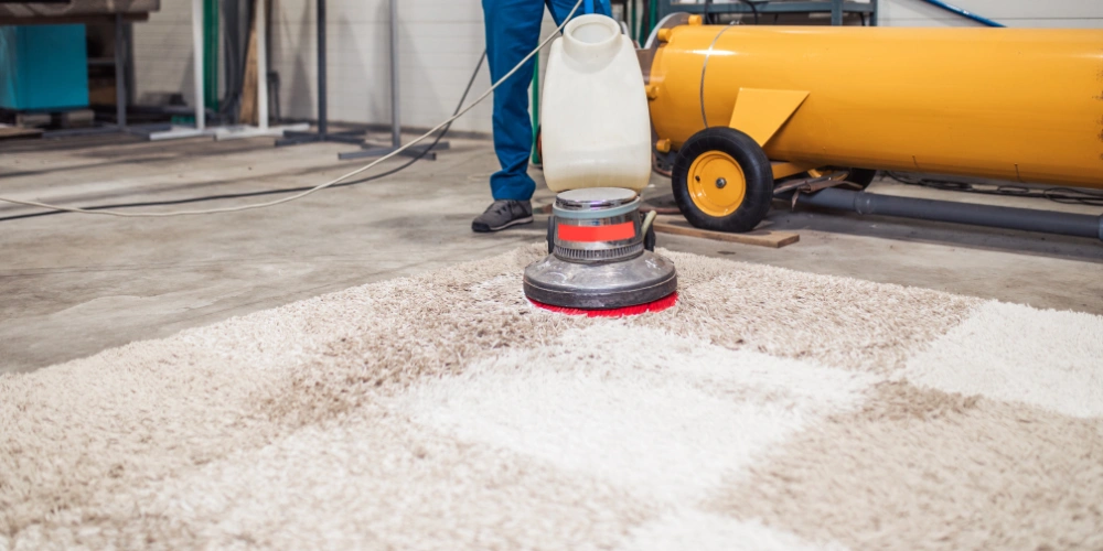 Desvendando Manchas: O Poder dos Removedores Caseiros - inspiração 2