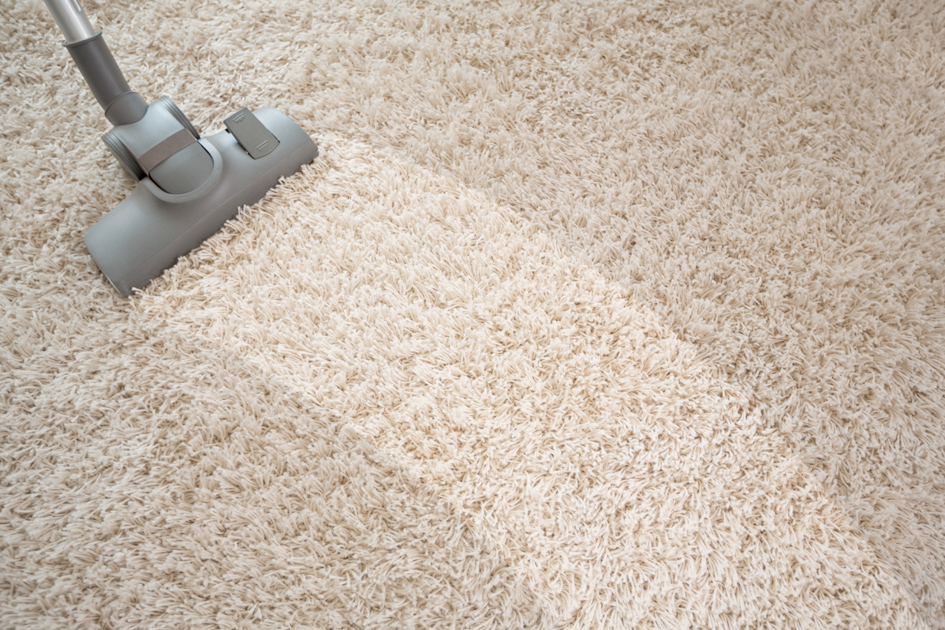 Secagem Correta: Evitando Maus Odor e Mofo - inspiração 1