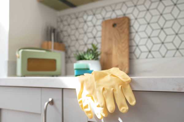 O Papel Crucial da Esponja Certa: Evitando Danos - inspiração 1