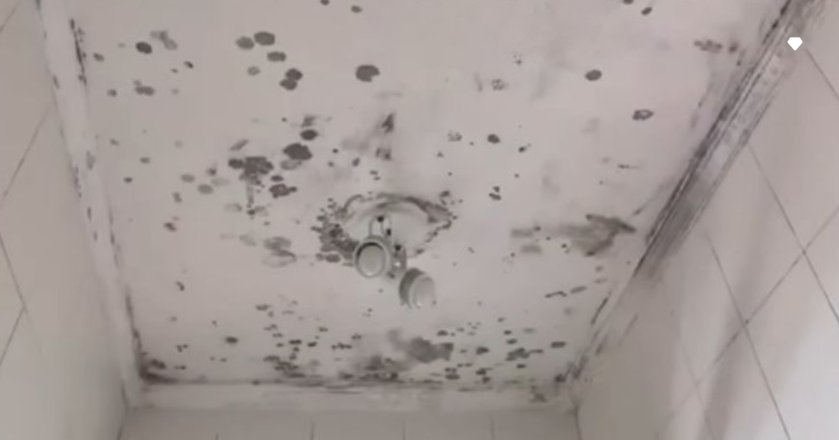 Vinagre Branco: Uma Solução Natural e Eficaz - inspiração 1