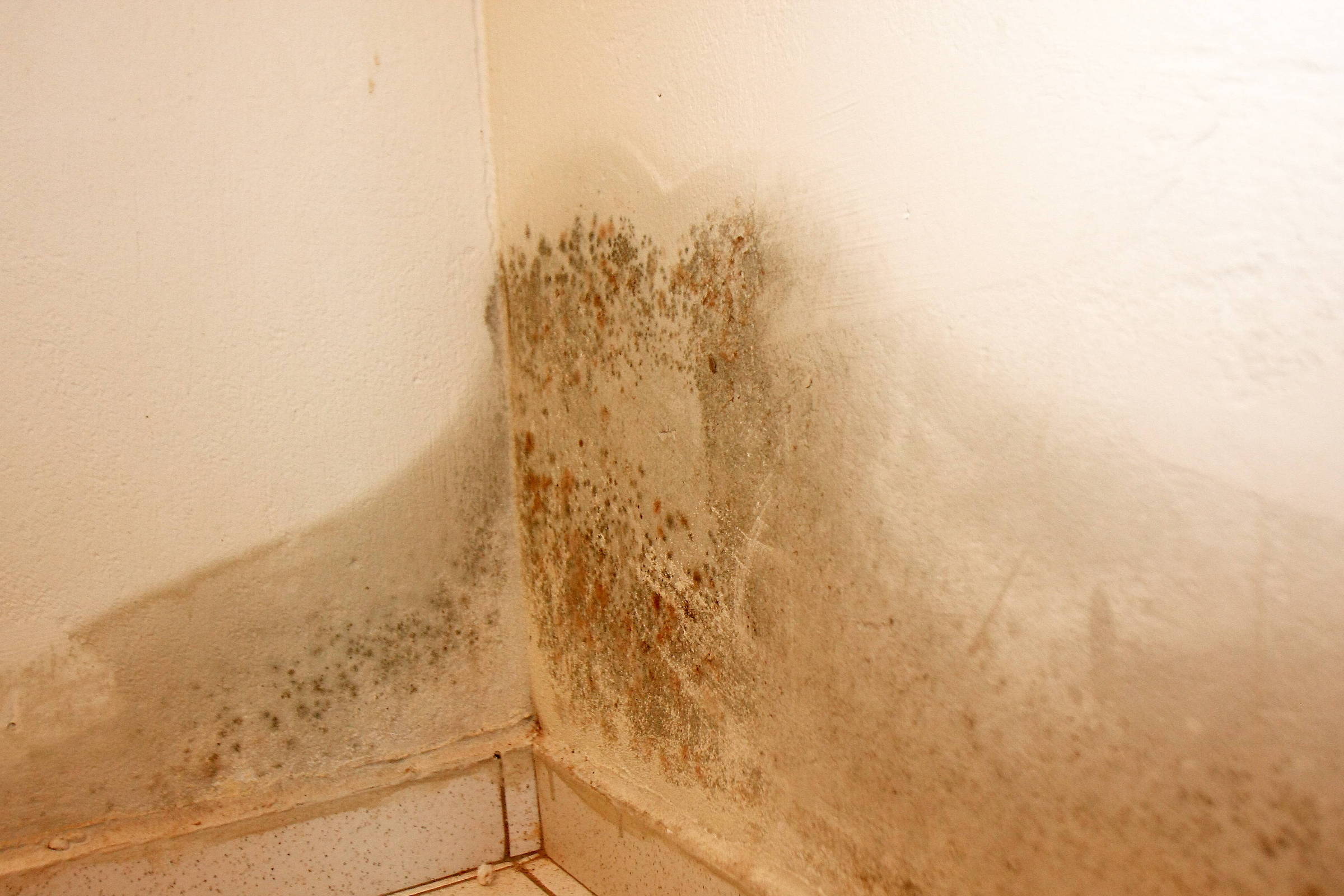 Bicarbonato de Sódio: Limpeza Profunda com Simplicidade - inspiração 1