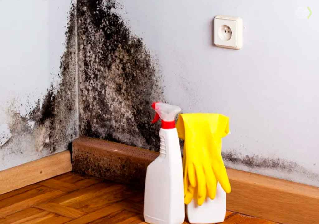 Água Oxigenada: O Segredo para Manchas Persistentes - inspiração 2