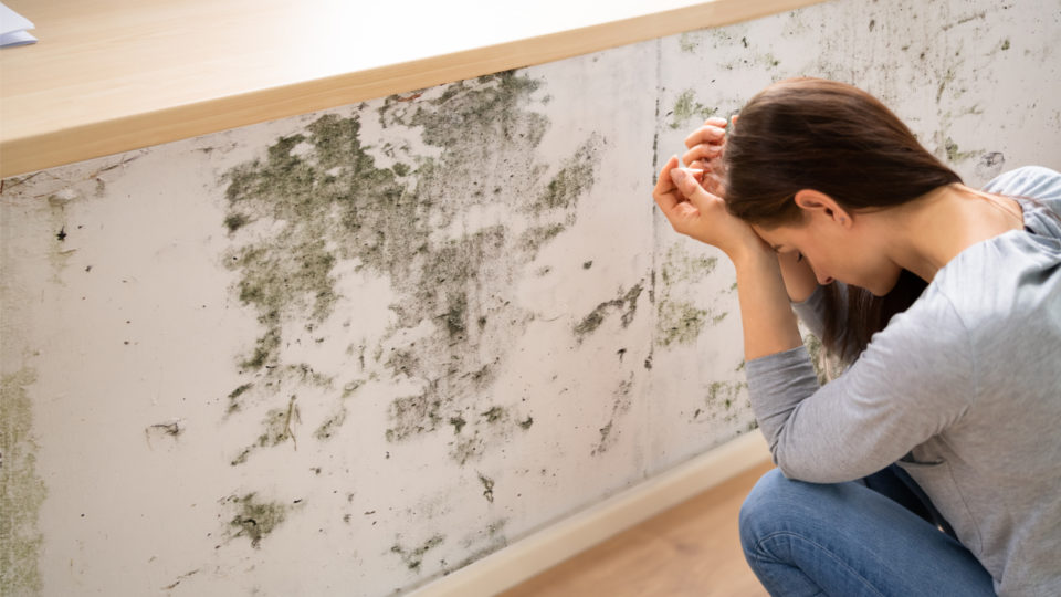 Misturas Caseiras Poderosas: Receitas que Funcionam - inspiração 1