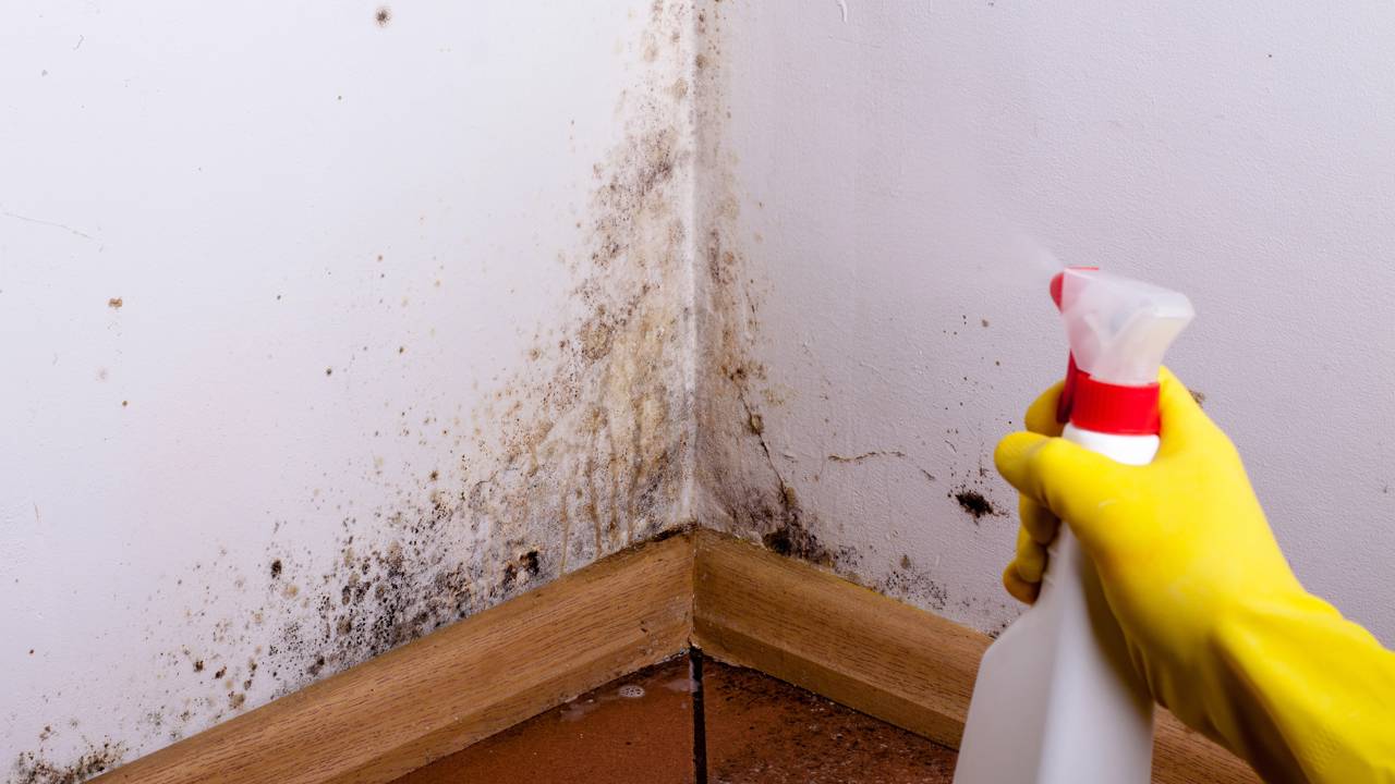 A Importância da Ventilação Adequada Pós-Limpeza - inspiração 1