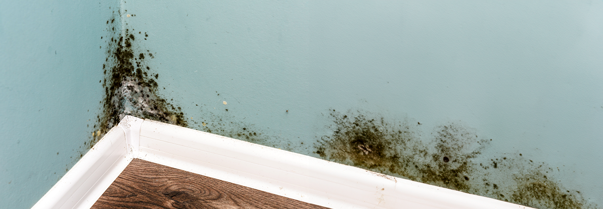 A Importância da Ventilação Adequada Pós-Limpeza - inspiração 2