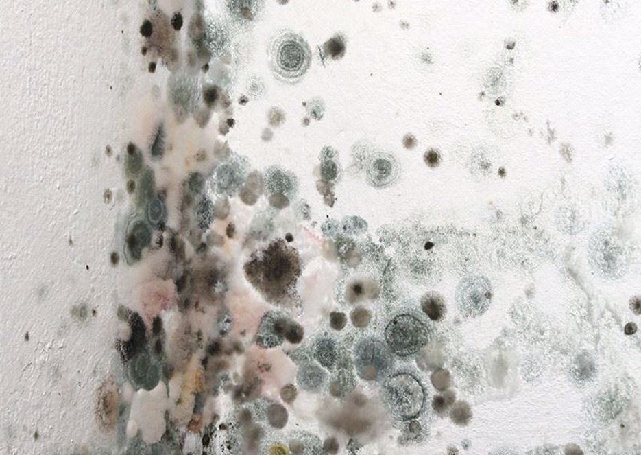 Ferramentas Essenciais para uma Limpeza Segura e Completa - inspiração 1