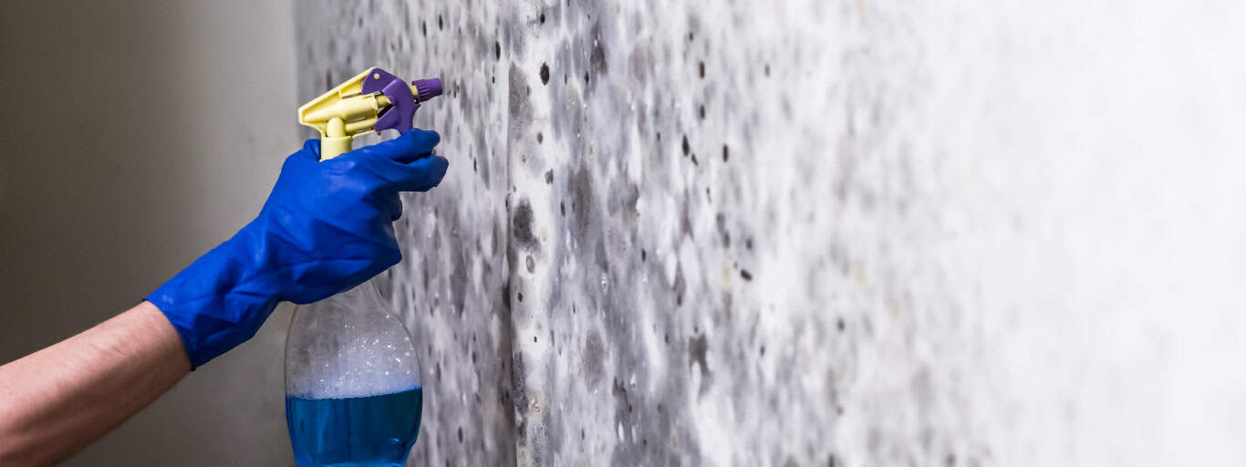 Ferramentas Essenciais para uma Limpeza Segura e Completa - inspiração 2