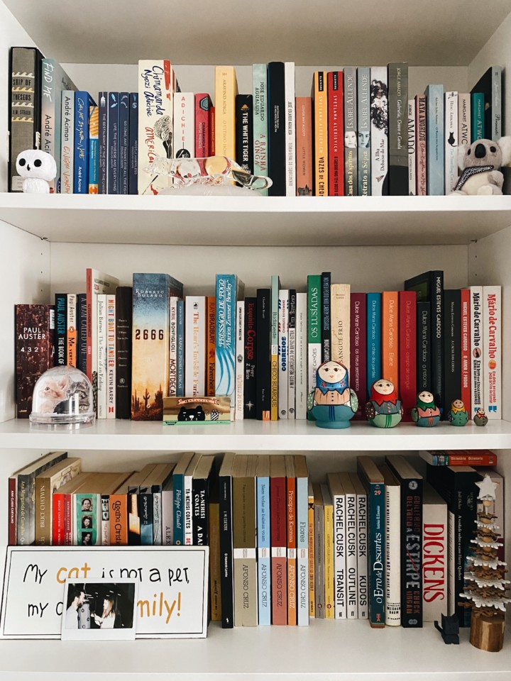 Agrupando por Assunto: Crie Ilhas de Conhecimento na Sua Estante - inspiração 2