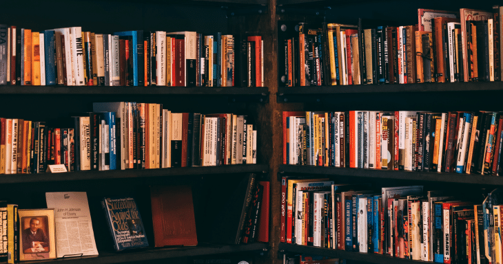 A Prateleira Vai Além: Integrando Seus Livros na Decoração do Ambiente - inspiração 2