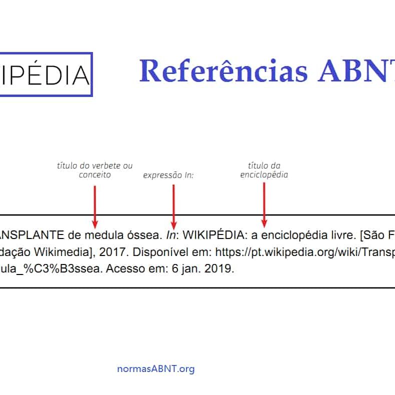 Trabalhos Acadêmicos e Livros: O Bê-a-bá da Citação Correta - inspiração 1