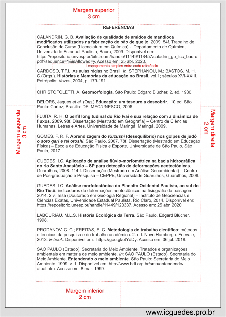 Artigos de Periódicos: Detalhes Que Garantem a Precisão - inspiração 2