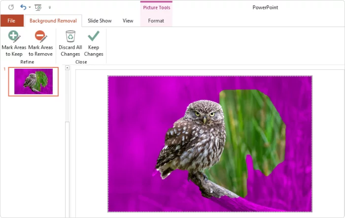 Marcando Áreas para Remover: Precisão nos Detalhes - inspiração 1