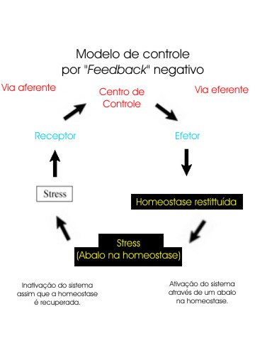 Identifique Padrões em Críticas Recorrentes - inspiração 1
