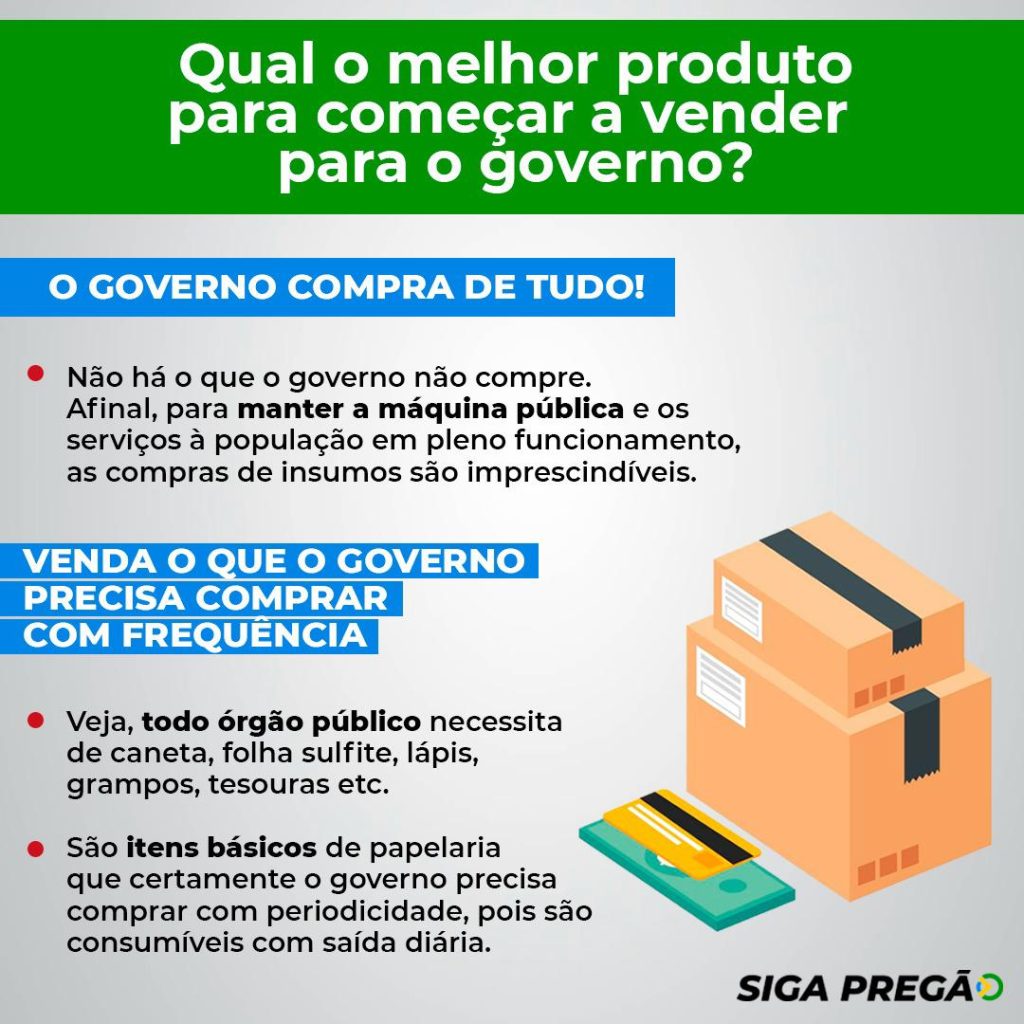 Entenda o Mercado Público: O Que o Governo Realmente Compra? - inspiração 2