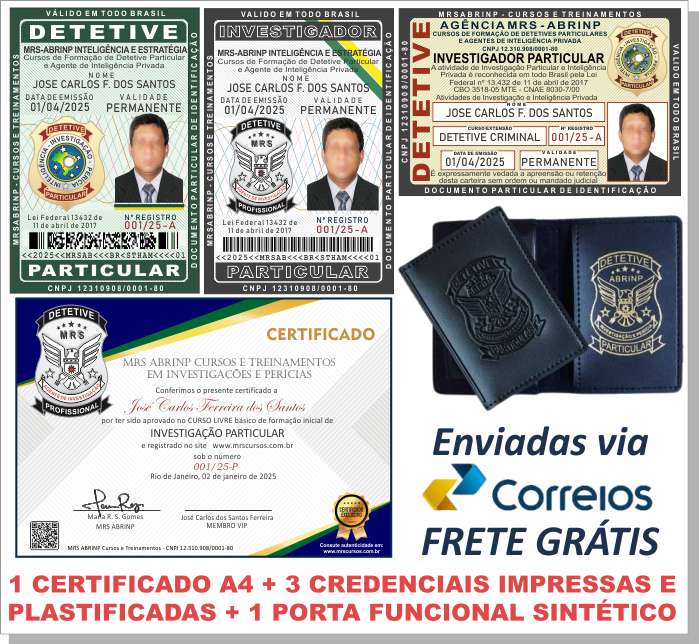 Elaboração de Relatórios Detalhados e Confidenciais - inspiração 1