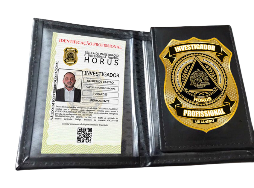 Legislação Aplicada à Atividade de Detetive - inspiração 1