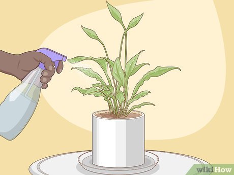 Umidade Essencial: Criando o Clima Tropical Ideal - inspiração 1