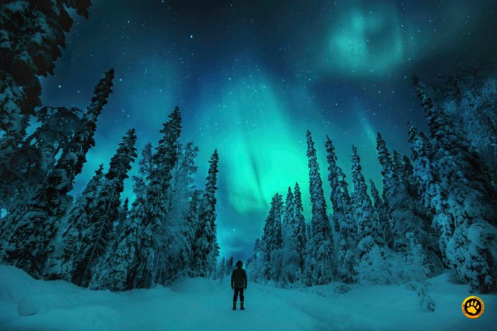 Orçamento e Dicas Financeiras: Aproveite ao Máximo sem Estourar as Contas - inspiração 1