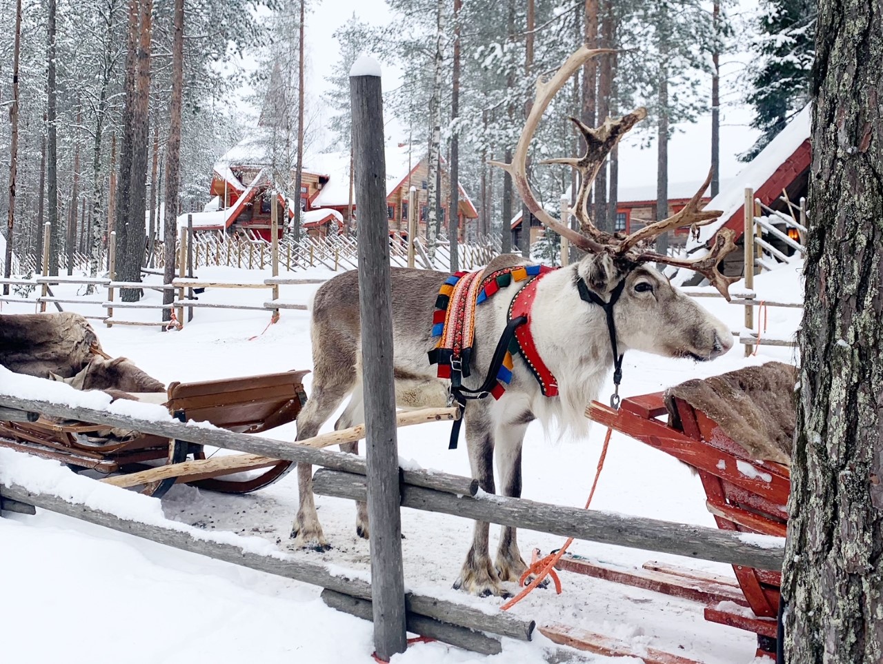 Orçamento e Dicas Financeiras: Aproveite ao Máximo sem Estourar as Contas - inspiração 2