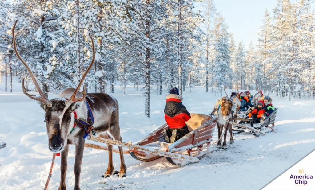 Onde Ficar na Lapônia: De Igloos Encantadores a Chalés Aconchegantes - inspiração 2