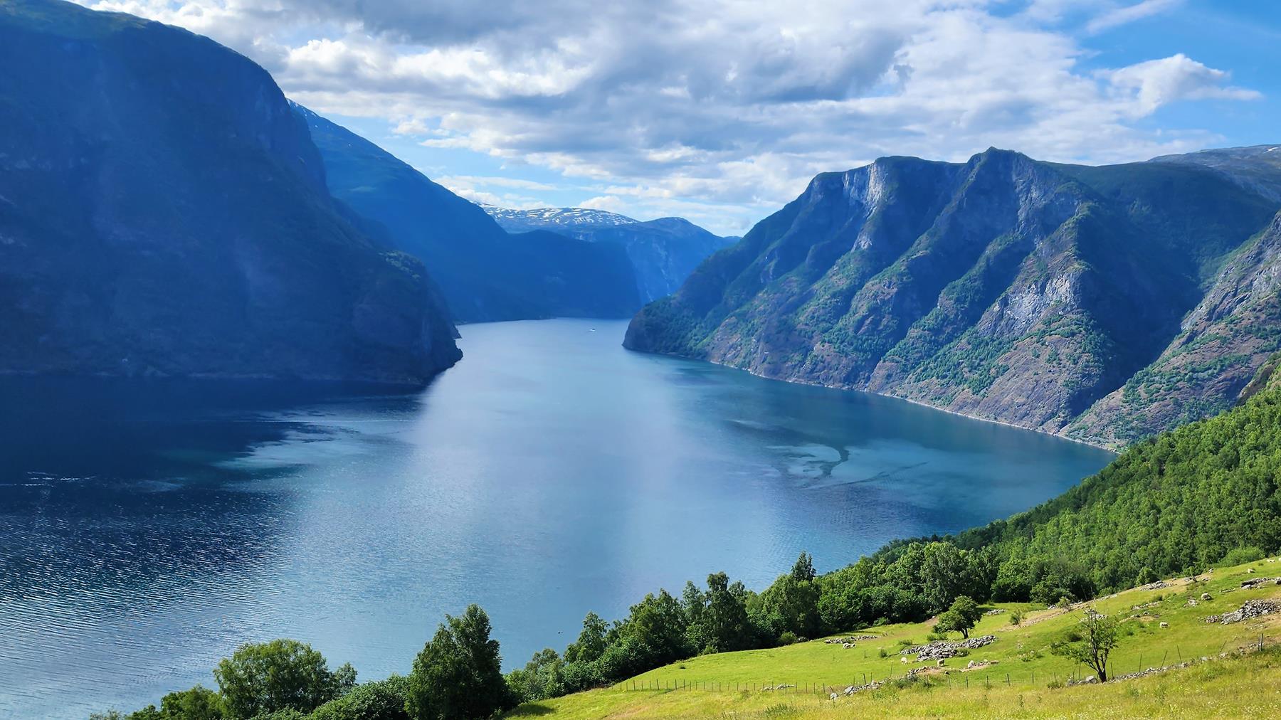 Transporte em Oslo: Tram, Metrô e Vistas Deslumbrantes - inspiração 1