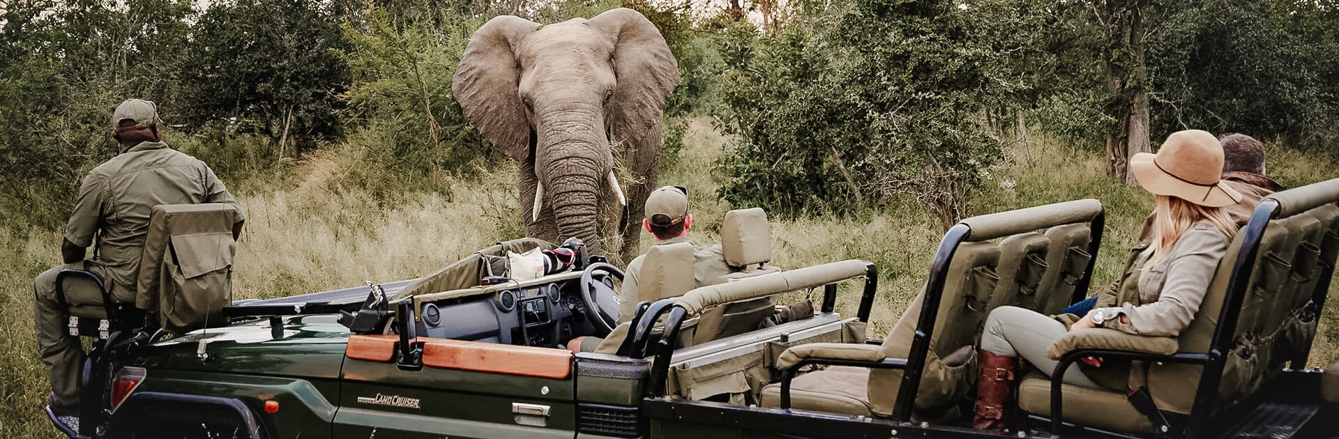 Melhor Época para Safari: O Equilíbrio Perfeito entre Clima e Avistamentos - inspiração 1