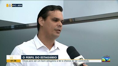 Pesquisa de Empresas: Encontre Seu Lugar - inspiração 2