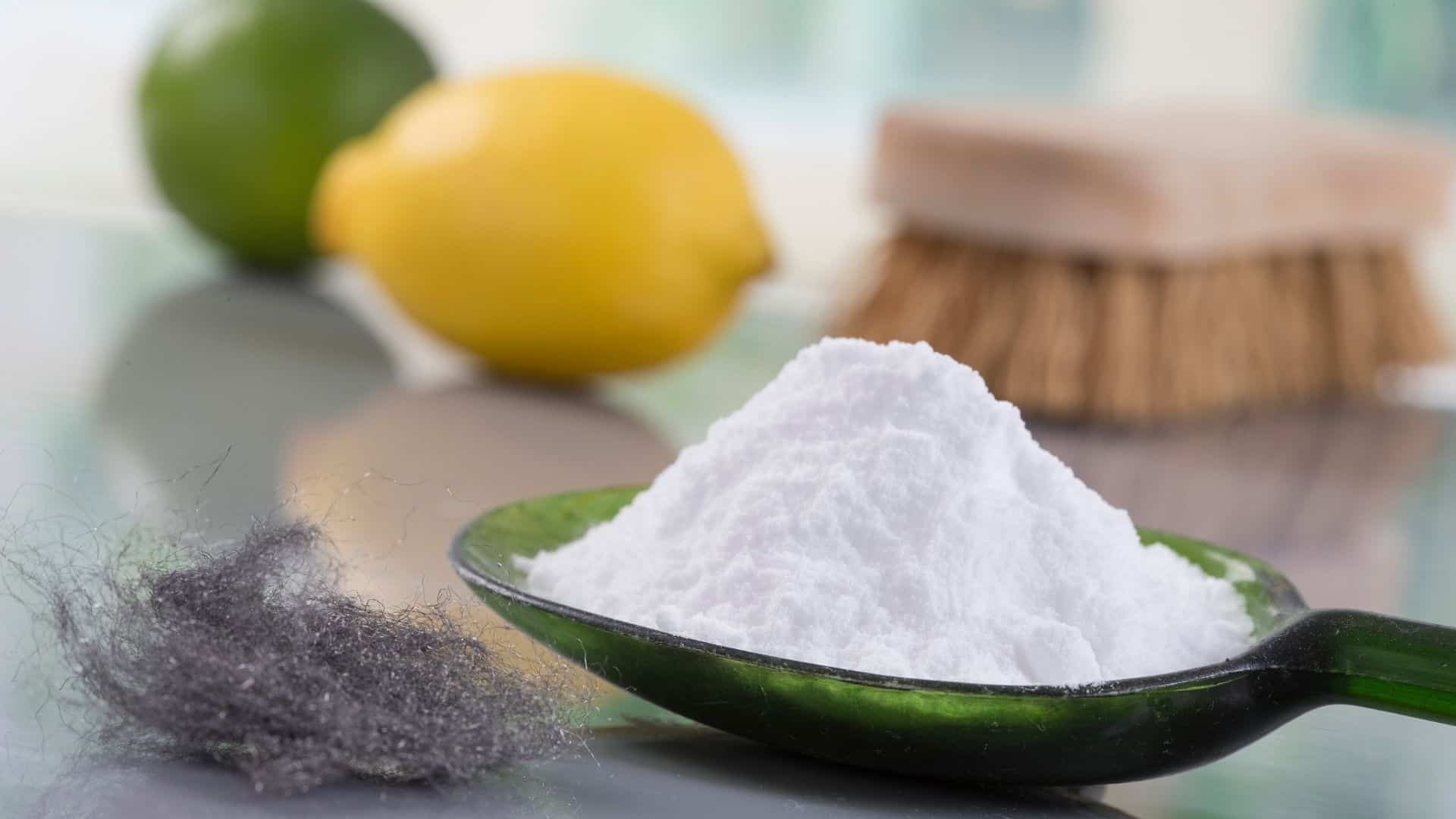 Ventilação é a Primeira Linha de Defesa: O Poder do Ar Fresco - inspiração 2