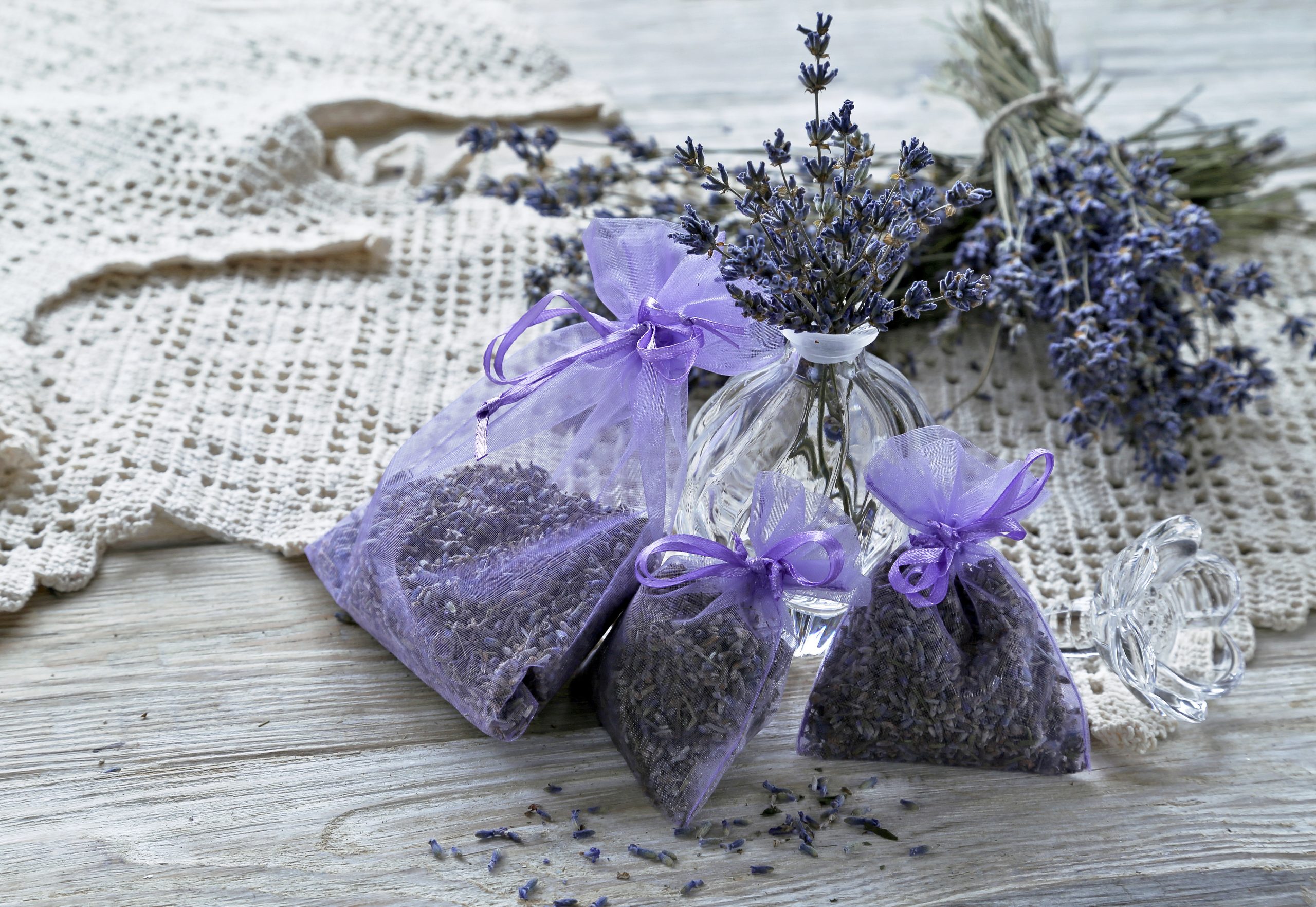 A Importância da Secagem Completa: Nenhum Vestígio de Umidade - inspiração 1