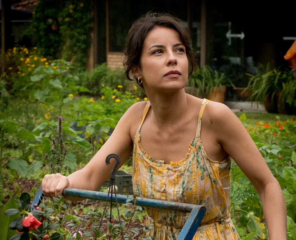 Pioneirismo e Resiliência: Explorando a História de Maria Sibylla Merian Através de Filmes - inspiração 2