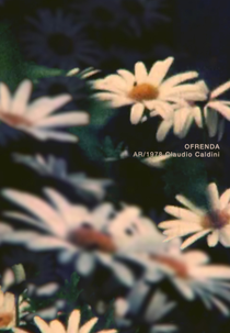 Por Trás das Lentes: A Descoberta de Novas Espécies por Botânicos Reais em Filmes - inspiração 1