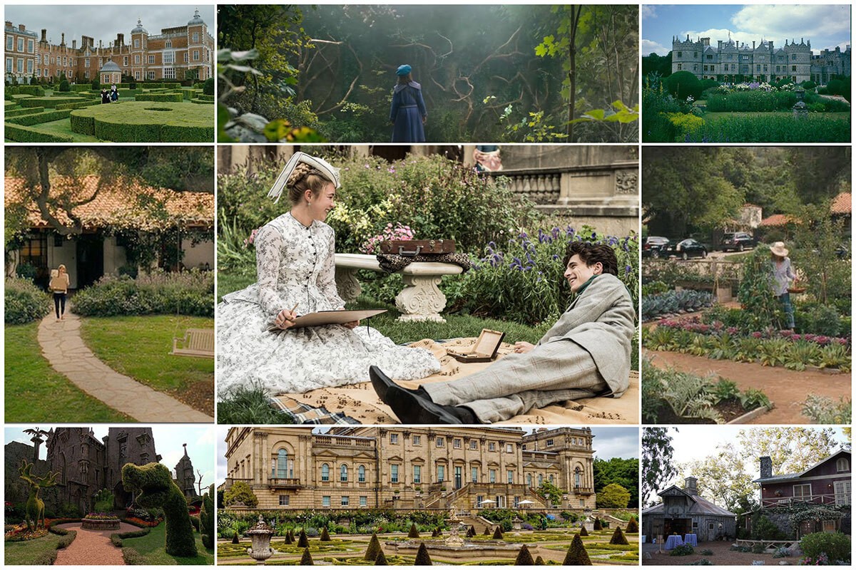 Do Campo à Estante: A Narrativa de Botânicos que Catalogaram o Mundo Vegetal - inspiração 2