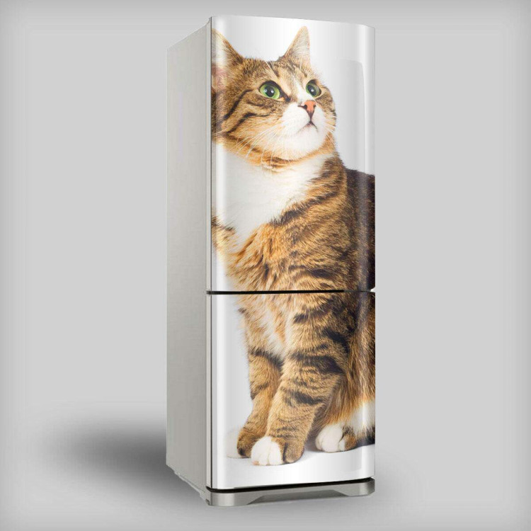 O Interesse Por Odor e Vibrações - inspiração 1