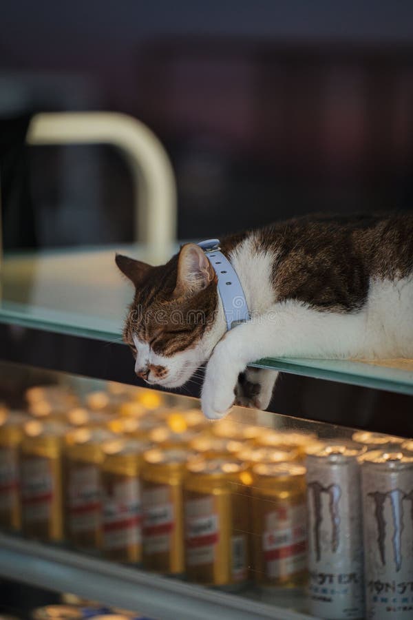 O Interesse Por Odor e Vibrações - inspiração 2