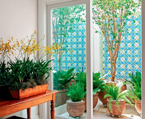 O Feng Shui no Seu Jardim de Inverno: Harmonizando Energias e Trazendo Prosperidade - inspiração 2