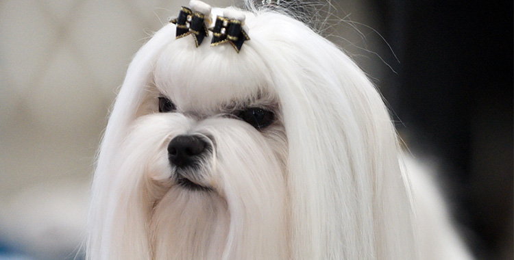 A Importância do Exercício Físico Diário - inspiração 1