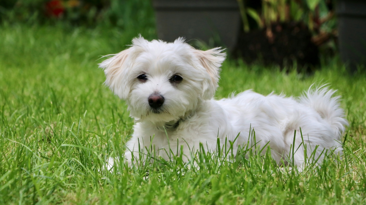 A Importância do Exercício Físico Diário - inspiração 2