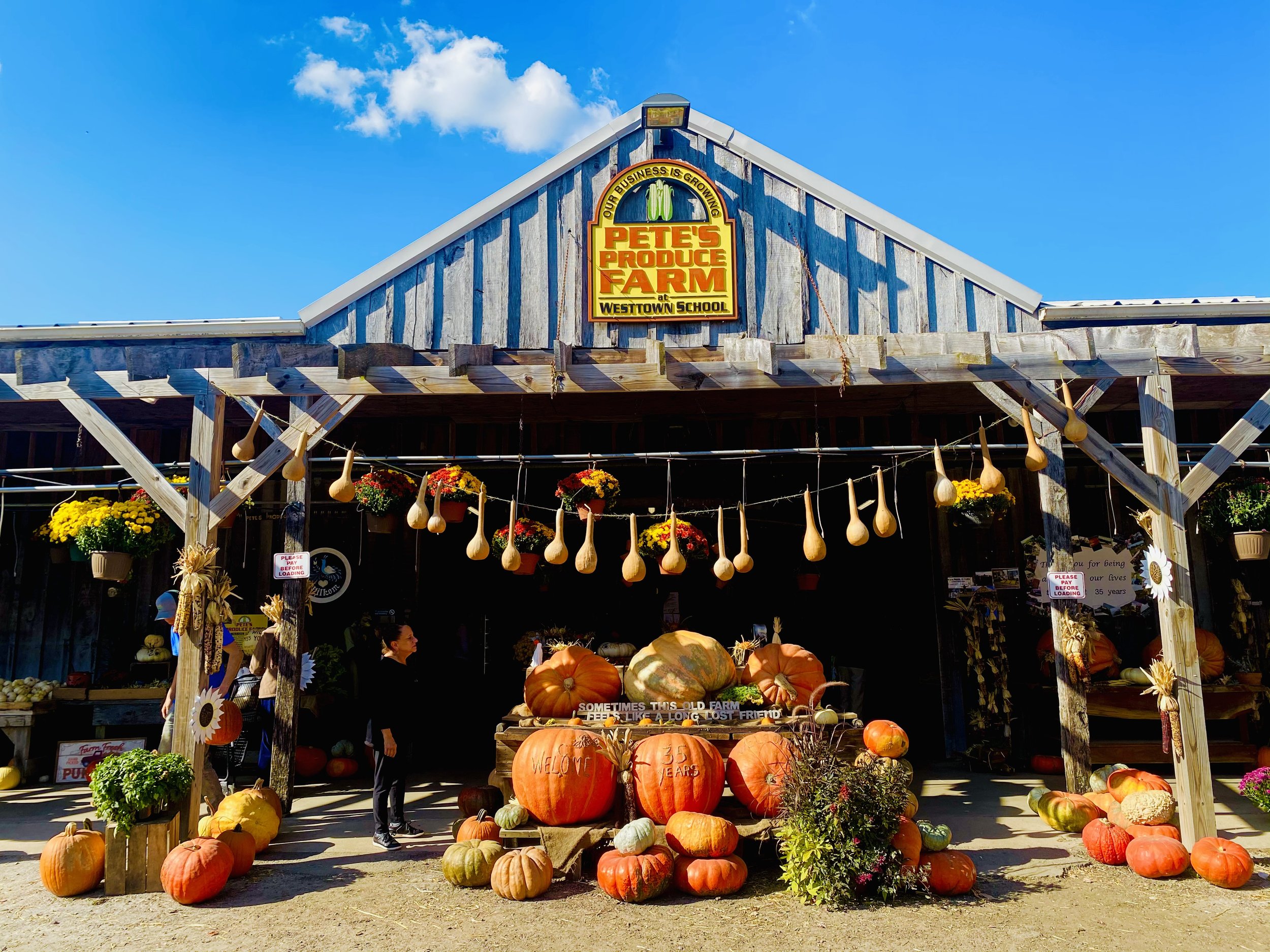 H3 Parcerias Estratégicas: Ampliando Seu Alcance com Aliadas - inspiração 1