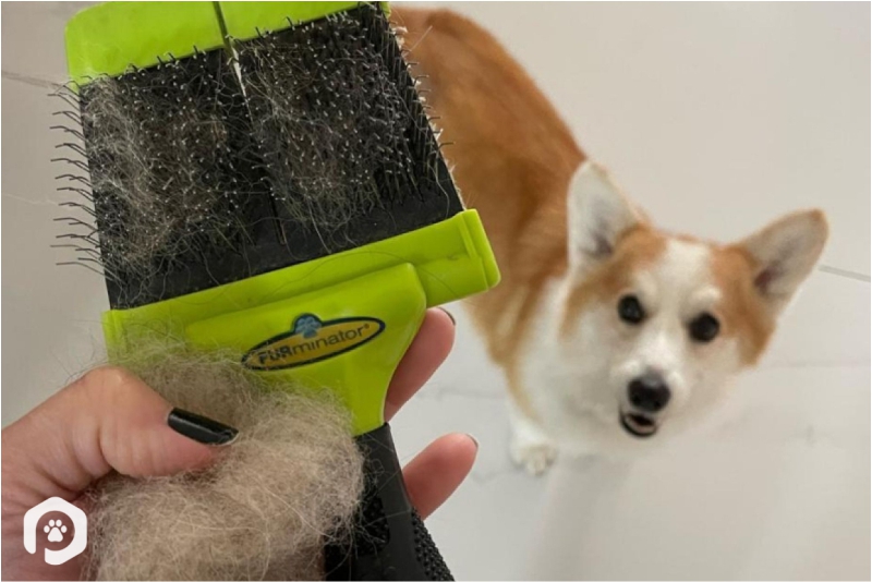 Produtos Complementares: Condicionadores e Sprays Desembaraçantes - inspiração 1