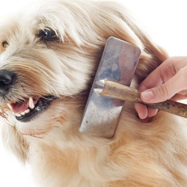 Escovas com Cerdas Naturais: Para um Brilho Saudável - inspiração 2