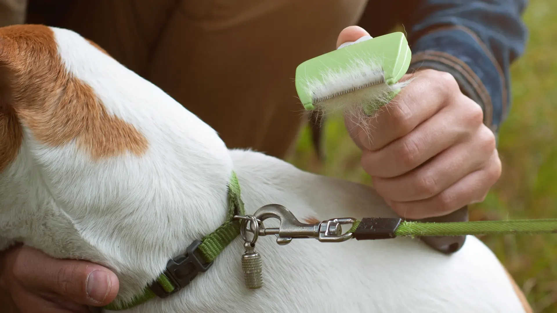 Escovas com Rolamento: Facilidade e Segurança ao Escovar - inspiração 2